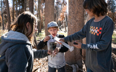 DRI Accepting Applications for New STEM Education Internship Program