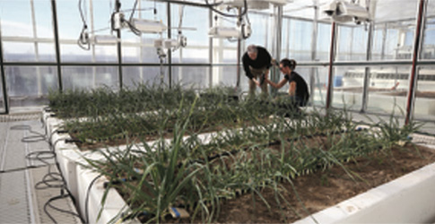 Screenshot Two researchers looking at the plants being grown in the EcoCells greenhouse.