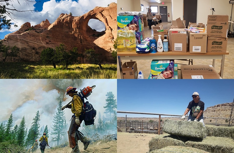 collage of images related to the work of the Native Waters on Arid Lands COVID-19 Working Group