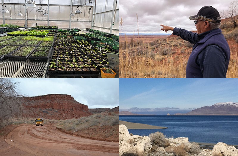 Native Climate Project