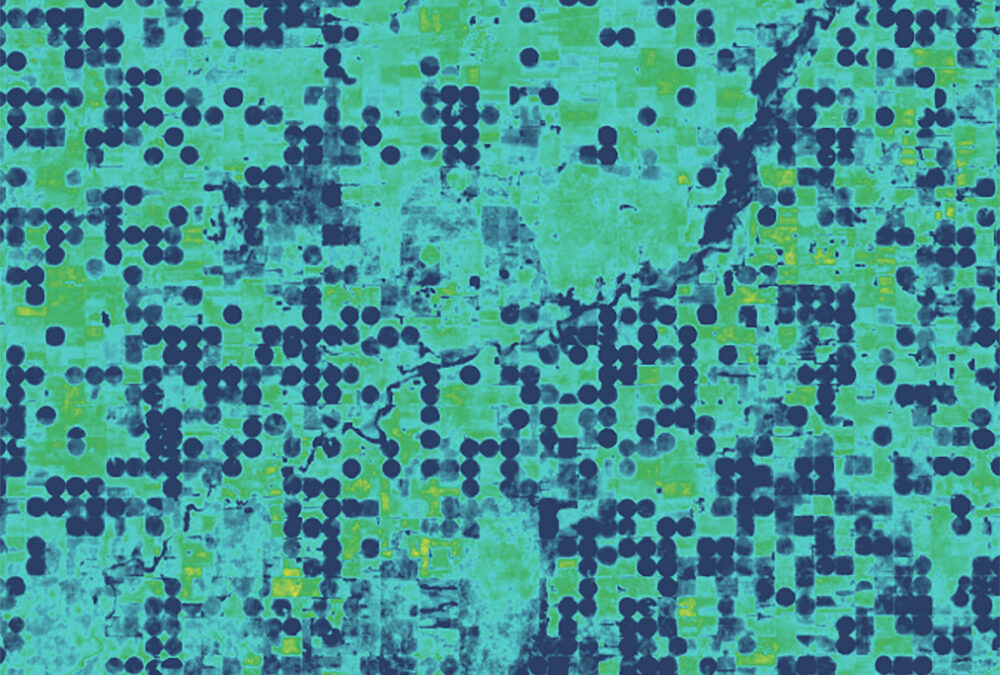 OpenET’s New CEO, Sara Larsen, Discusses the Future of the Revolutionary Water-Monitoring Initiative