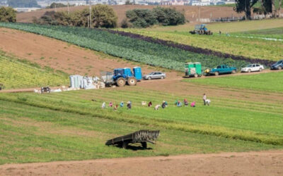 Innovation Research Program invests in early-stage research