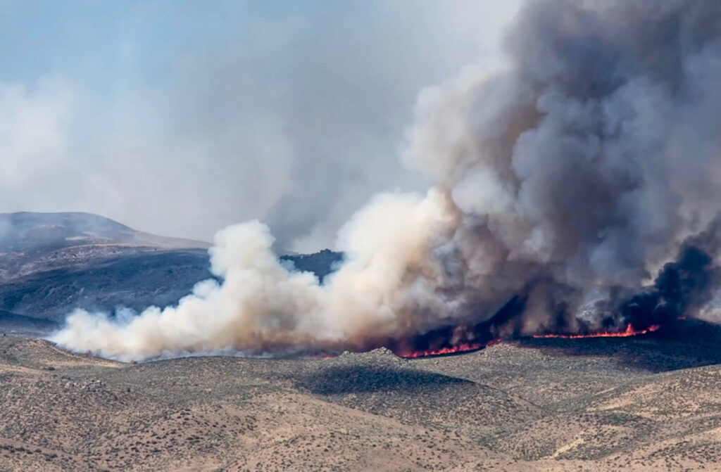 Smoke from human-caused wildfires on the Patagonian steppe are trapped in Antarctic ice.