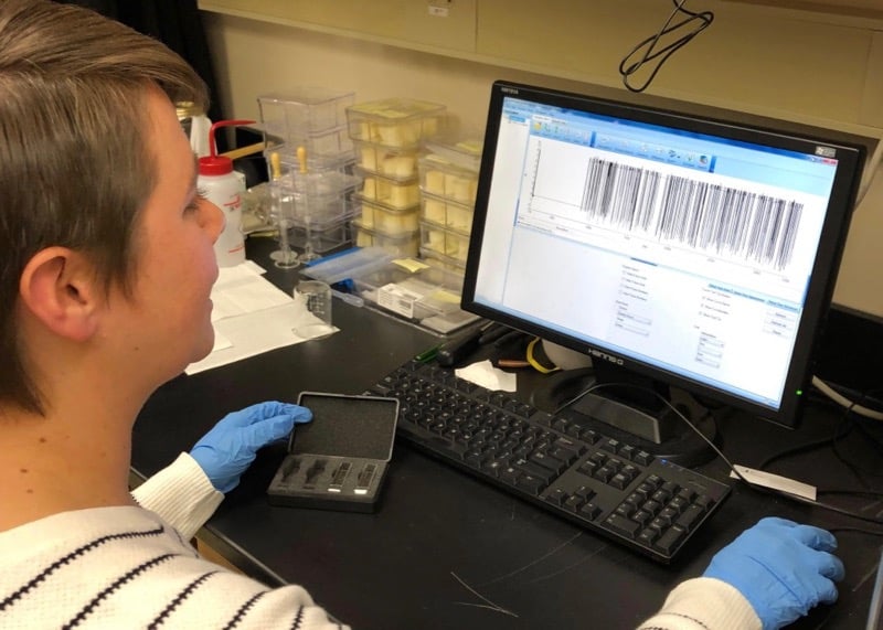 Meet graduate researcher Meghan Rennie