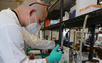 New DRI Internship Program Focuses on Mentorship for Inclusion in STEM
