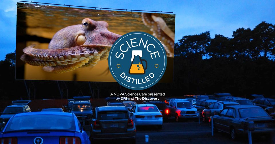 Photo of cars at the drive-in for Science Distilled.