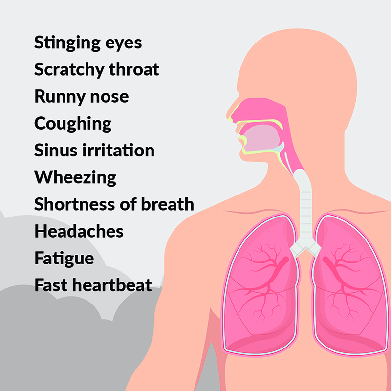 SmokeFigure Illustration of a body showing the sinuses and lungs.