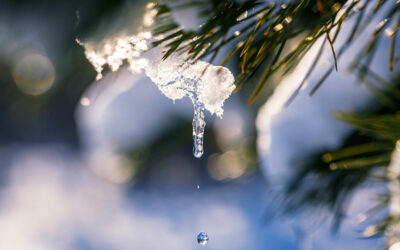 Spring Sunny Heat Waves Caused Record Snowmelt in 2021, Adding to Severe Water Supply Impacts Across the Western U.S.