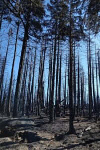 fire areas Dixie Caldor fires