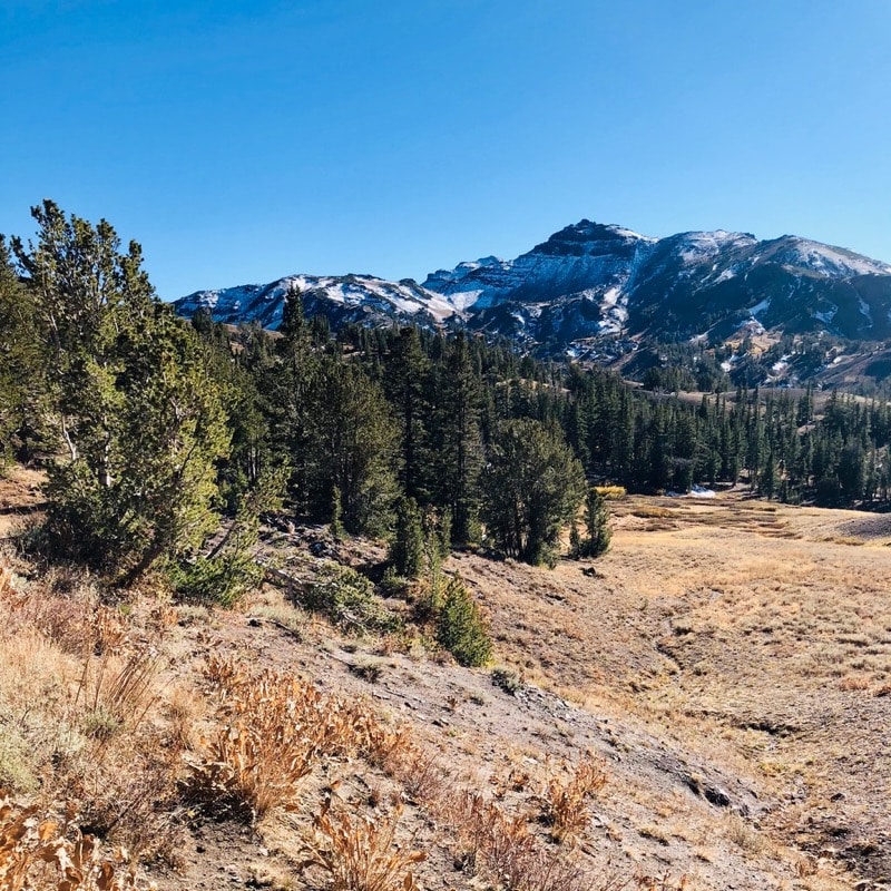 Sonora Pass, Oct 2018.
