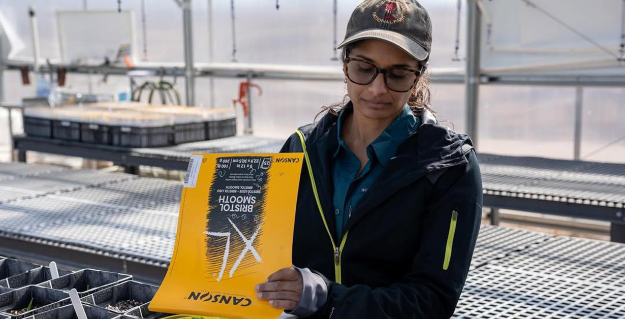 Tiffany Pereira Drawing An artist in a greenhouse drawing in a pad the seedlings that have sprouted.