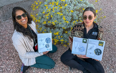 Tiffany Pereira Blends Art and Science in New Mojave Seedling Guide