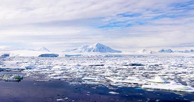 sheets of ice floating in water