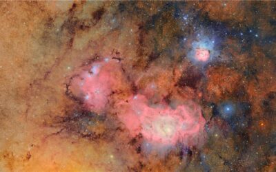 Desert Lichen Offers New Evidence for the Possibility of Life on Other Planets