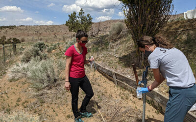 Arsenic Contaminates Private Drinking Water Wells Across the Western Great Basin