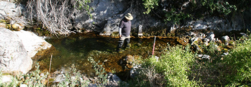 Watersheds Green Box Flow measurement 2 Researcher standing in a calm stream with waders and hat.