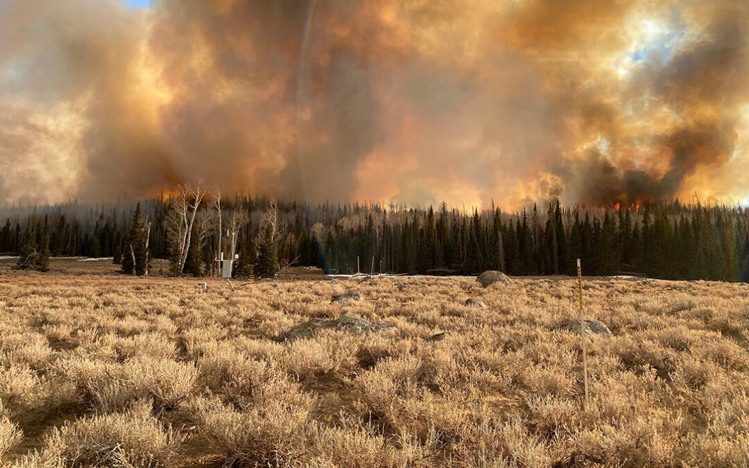 What We Know About Wildfire Risk and Prevention