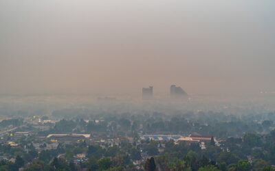 Wildfire smoke more dangerous than other air pollutants for asthma patients
