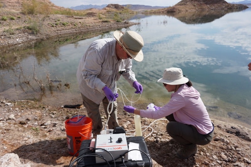 Evaluation of Antibiotic Resistance Genes (ARGs) in the Urban Wetland Ecosystem: Las Vegas Wash