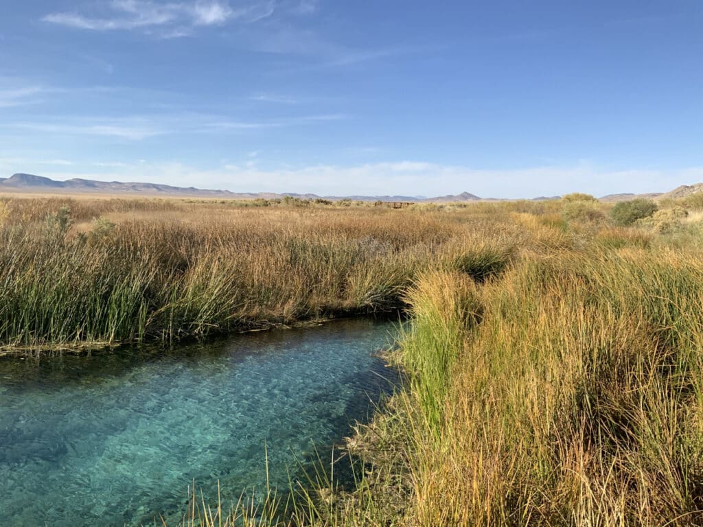 Drought Sensitivity and Trends of Riparian Vegetation in Nevada