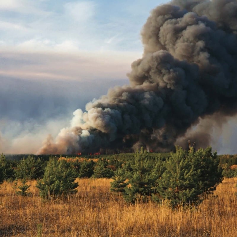 Fire and smoke plume.