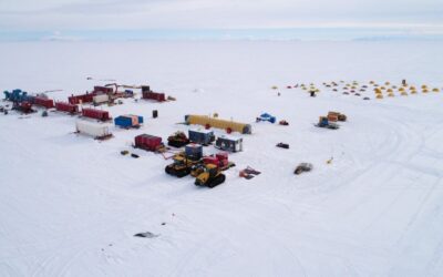 Hidden Life Beneath Antarctic Ice: Microbial Diversity and Survival Strategies Revealed in Mercer Subglacial Lake