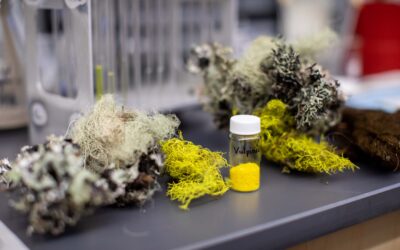 NASA grant funds research for sunscreen on Mars