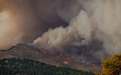 Weather Whiplash is Amplifying Wildfire Risk