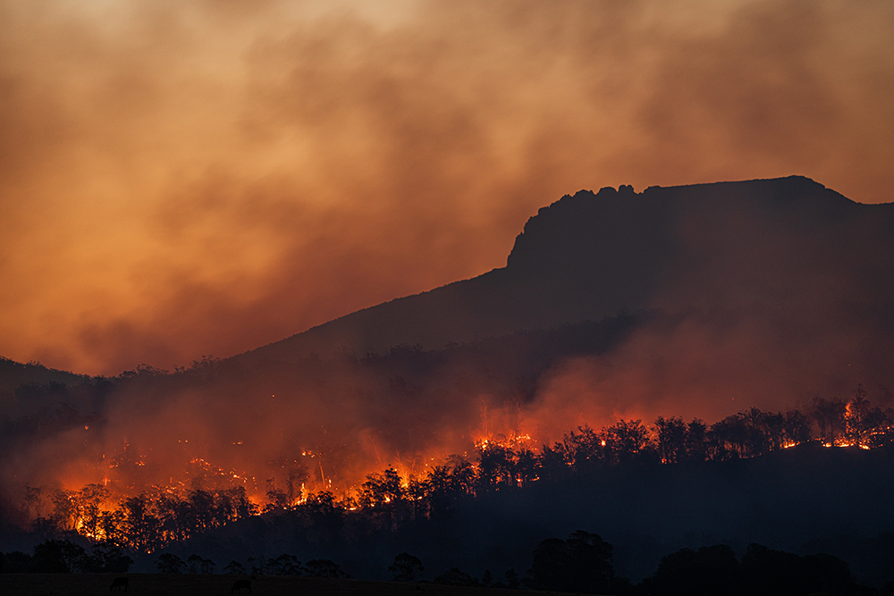 Photo of a mountainside wildfire. Credit to Matt Palmer from Unsplash