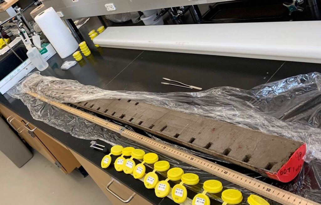 Sediment core from Stoneman Lake on a lab table.