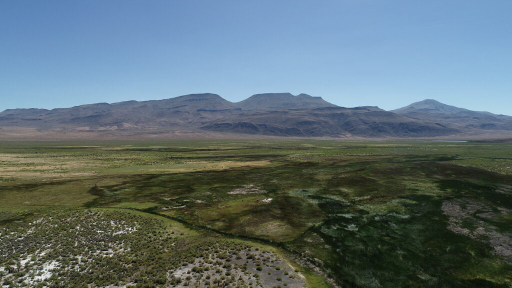 Soldier Meadow landscape with Black Rock Desert mountains in the background.