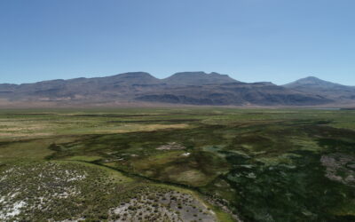 New Tool Will Help Manage One of Nevada’s Most Critical Freshwater Sources 