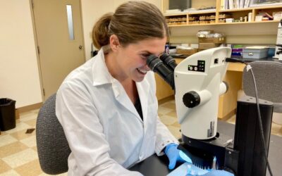 NSF Graduate Research Fellowship Awarded to Microplastics Researcher Rachel Kozloski 